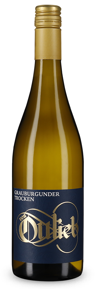 Pinot gris sec 2025