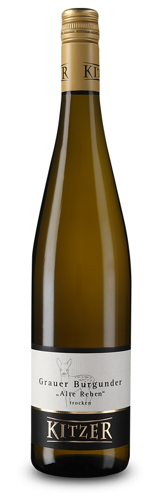 Pinot Gris vieilles vignes sec 2025