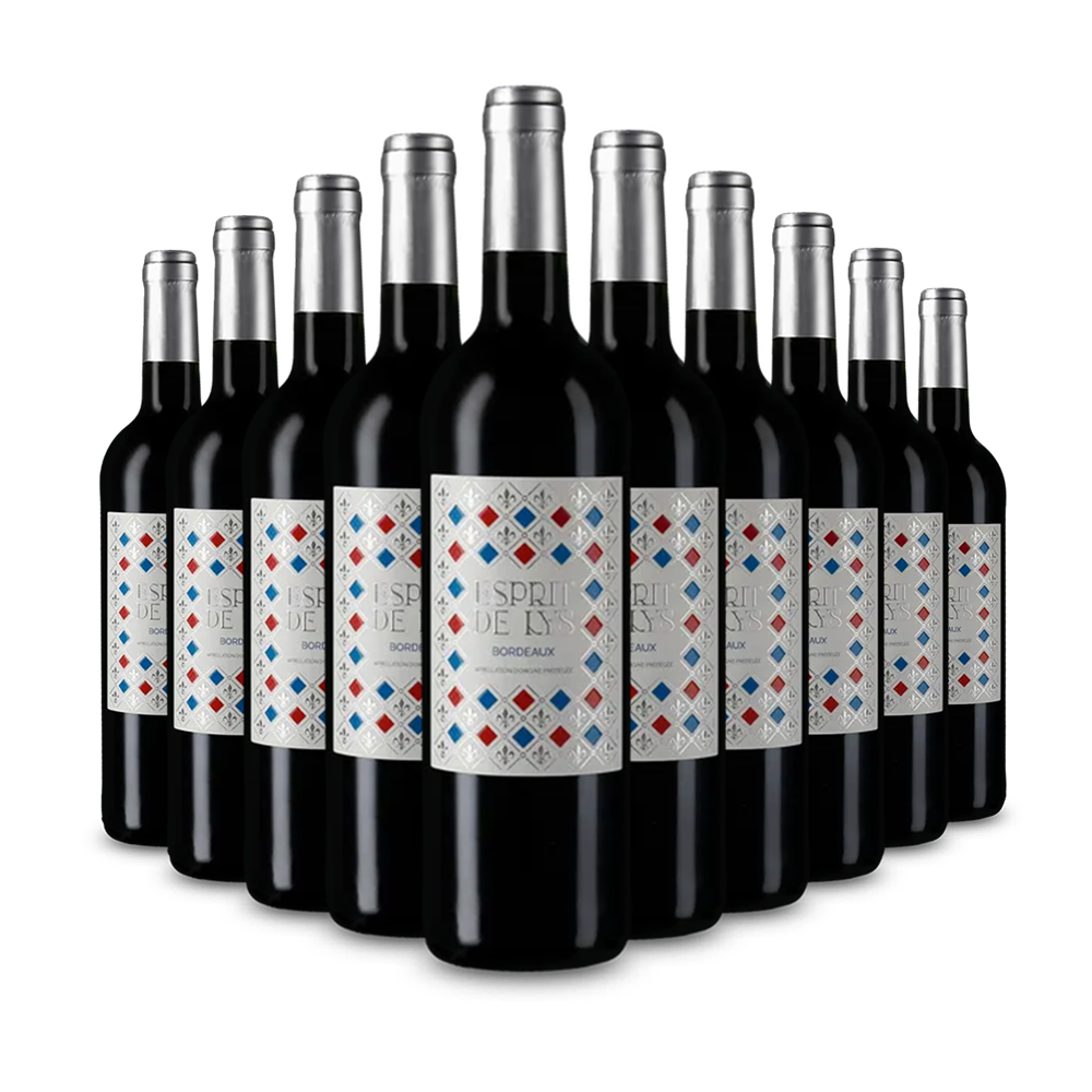 10 bouteilles Bordeaux 2020