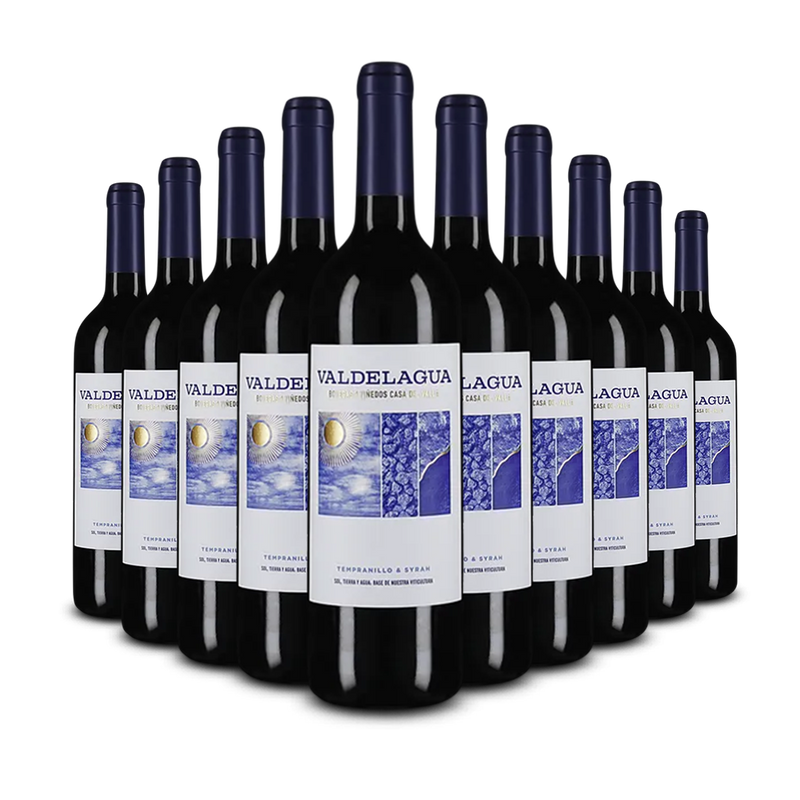 10 bouteilles Valdelagua Tempranillo & Syrah 2024 – Gold