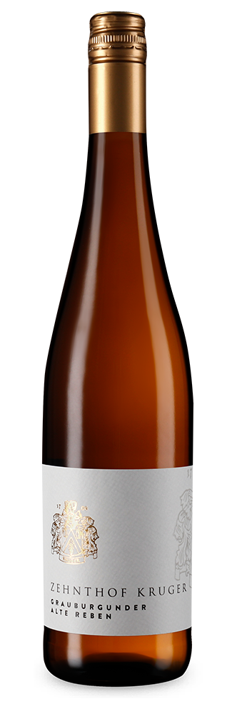 Pinot Gris vieilles vignes sec 2025