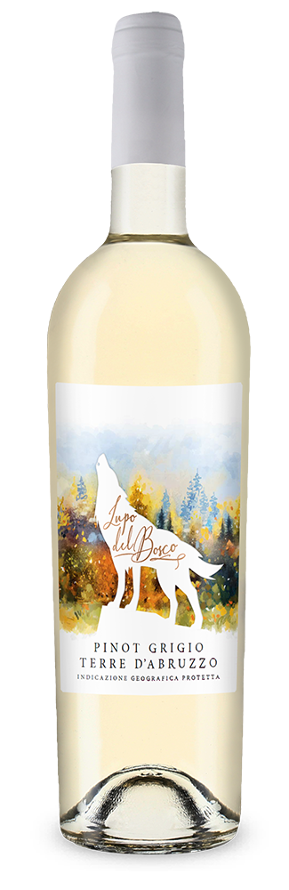 Cantina Tollo Lupo del Bosco Pinot Grigio 2025 – Gold