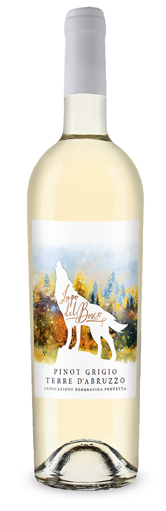 Cantina Tollo Lupo del Bosco Pinot Grigio 2025