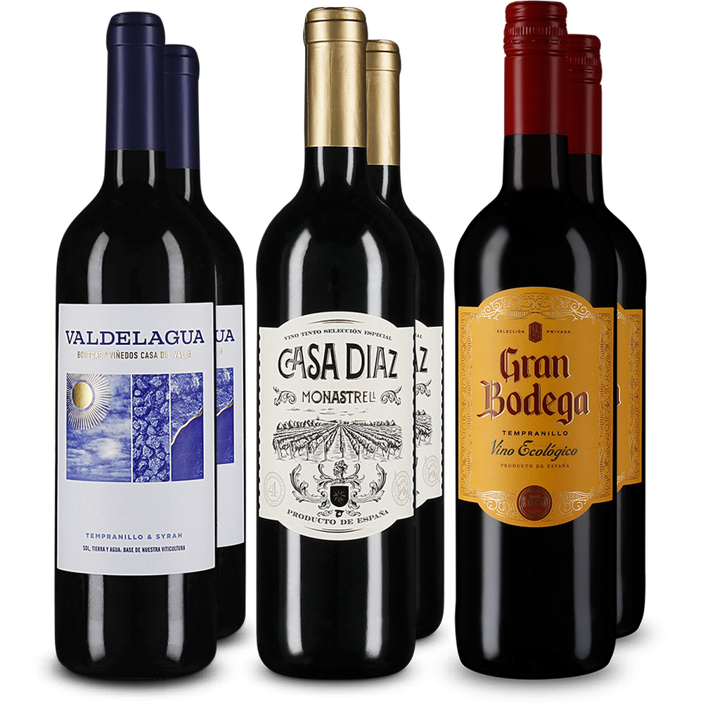 Vins rouges espagnols emblématiques en assortiment 3x2 – Gold