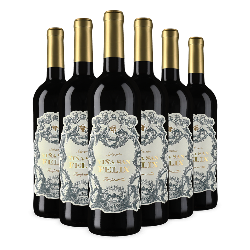 6 bouteilles Tempranillo Selección 2025