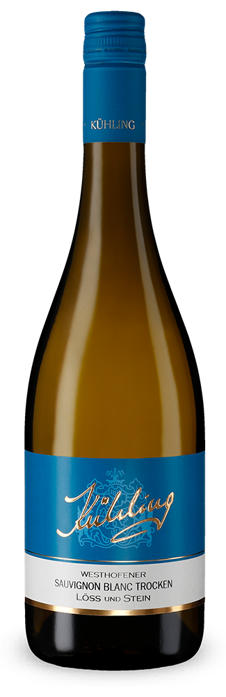 Westhofener Sauvignon Blanc Löss und Stein sec 2025