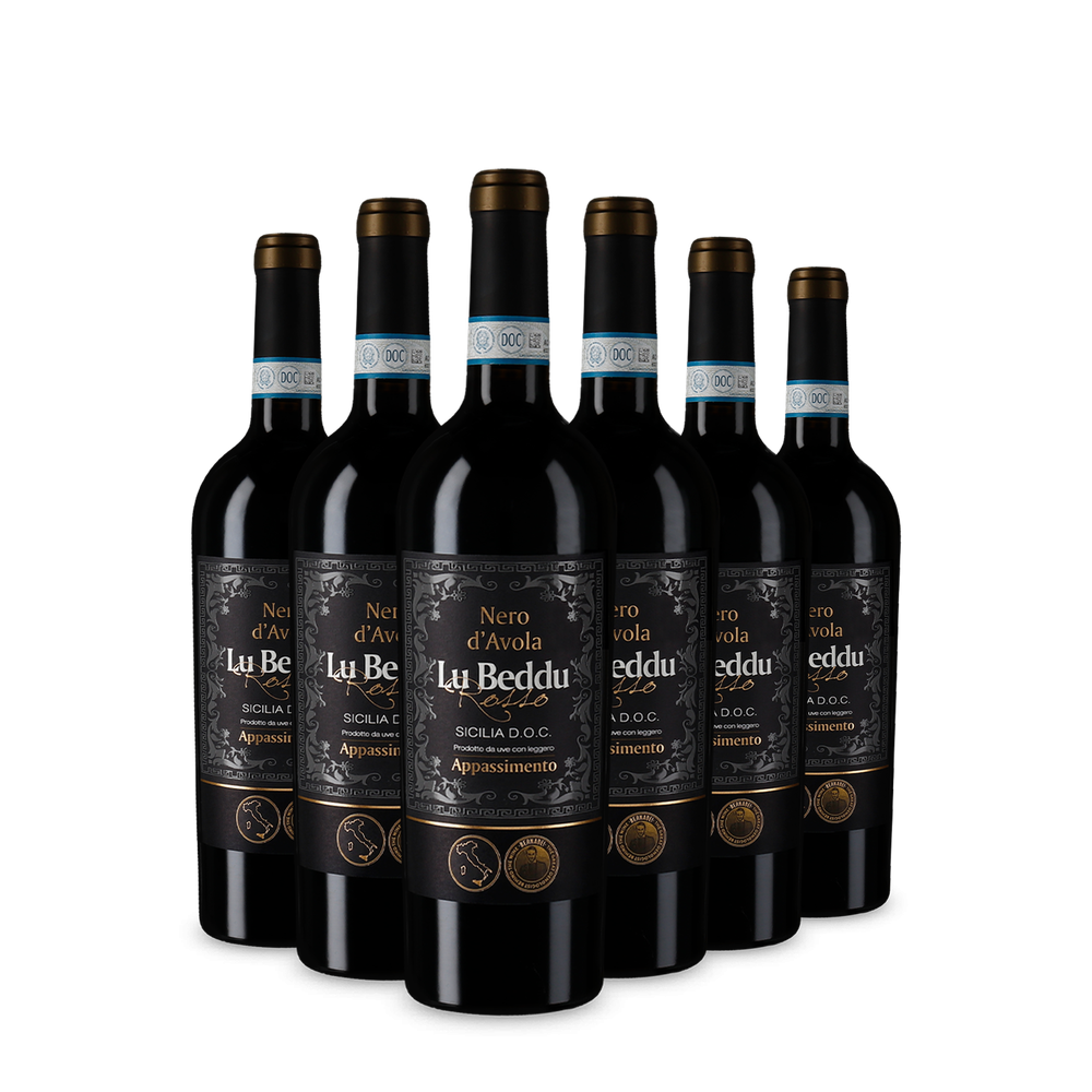 6 bouteilles Nero d’Avola Sicilia Appassimento 2023