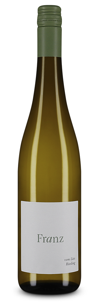 Riesling vom Löss sec 2025