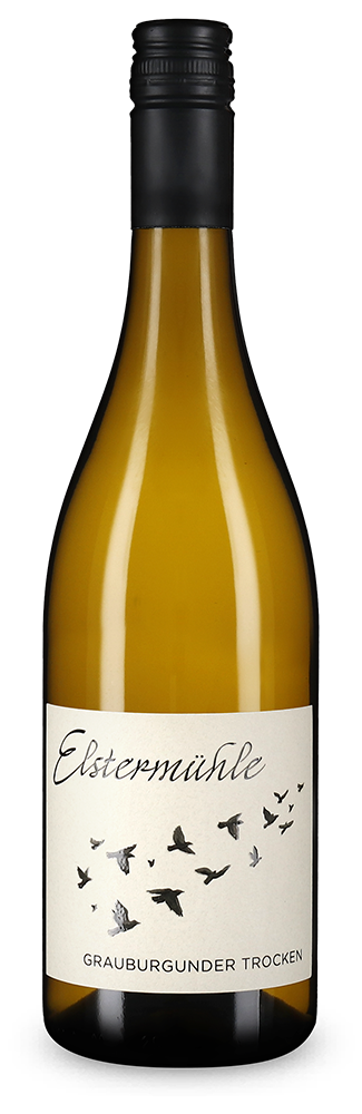 Pinot gris sec 2025