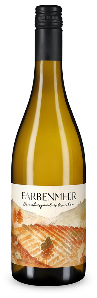 Pinot gris sec 2025