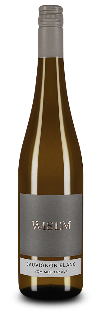 Sauvignon Blanc vom Meereskalk sec 2025