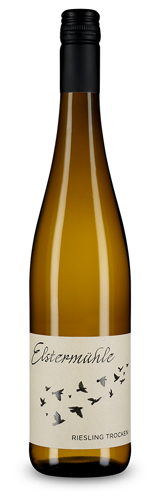 Riesling sec 2025