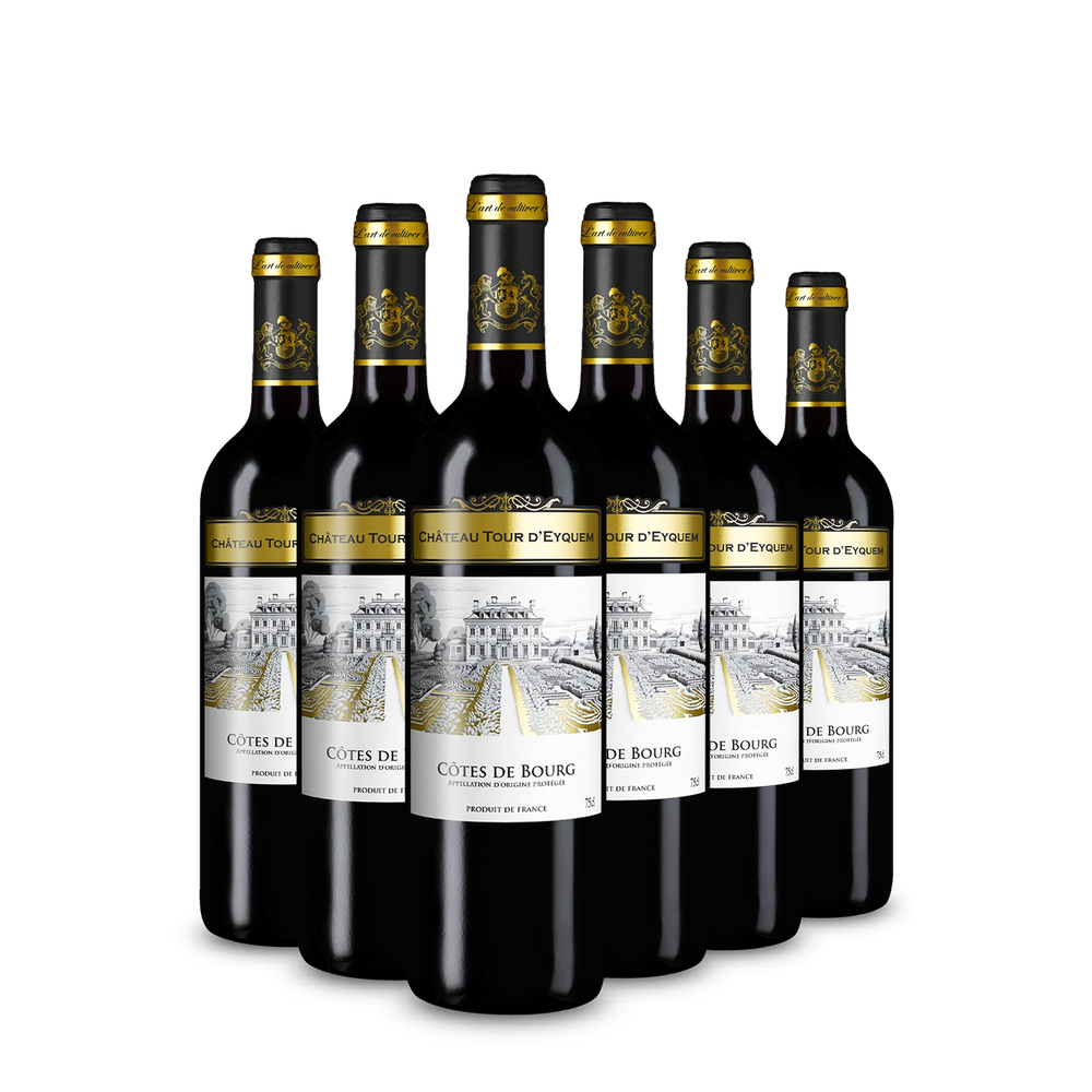 6 bouteilles Côtes de Bourg 2022