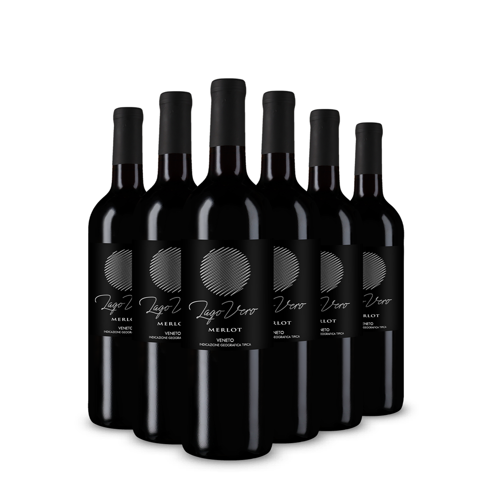 6 bouteilles Merlot Veneto 2025