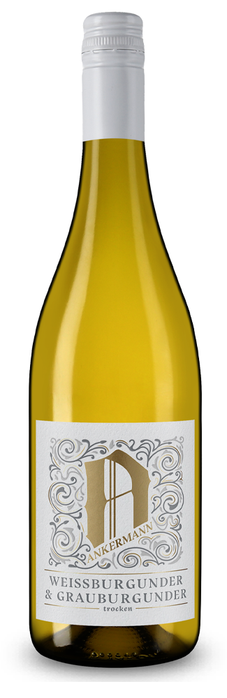 Pinot blanc et gris sec 2025