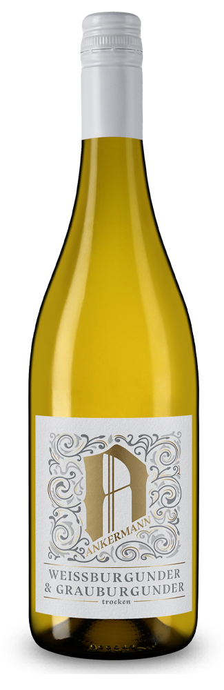 Pinot blanc et gris sec 2025