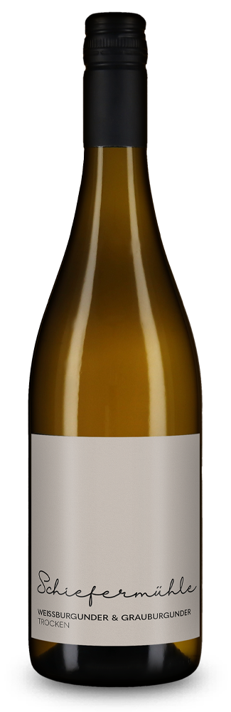 Pinot blanc et gris sec 2025