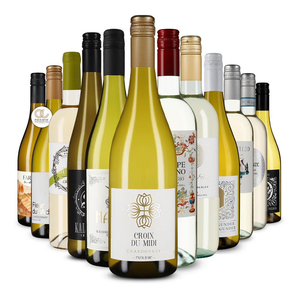 12x1 Diversité internationale des pinots pour l'automne