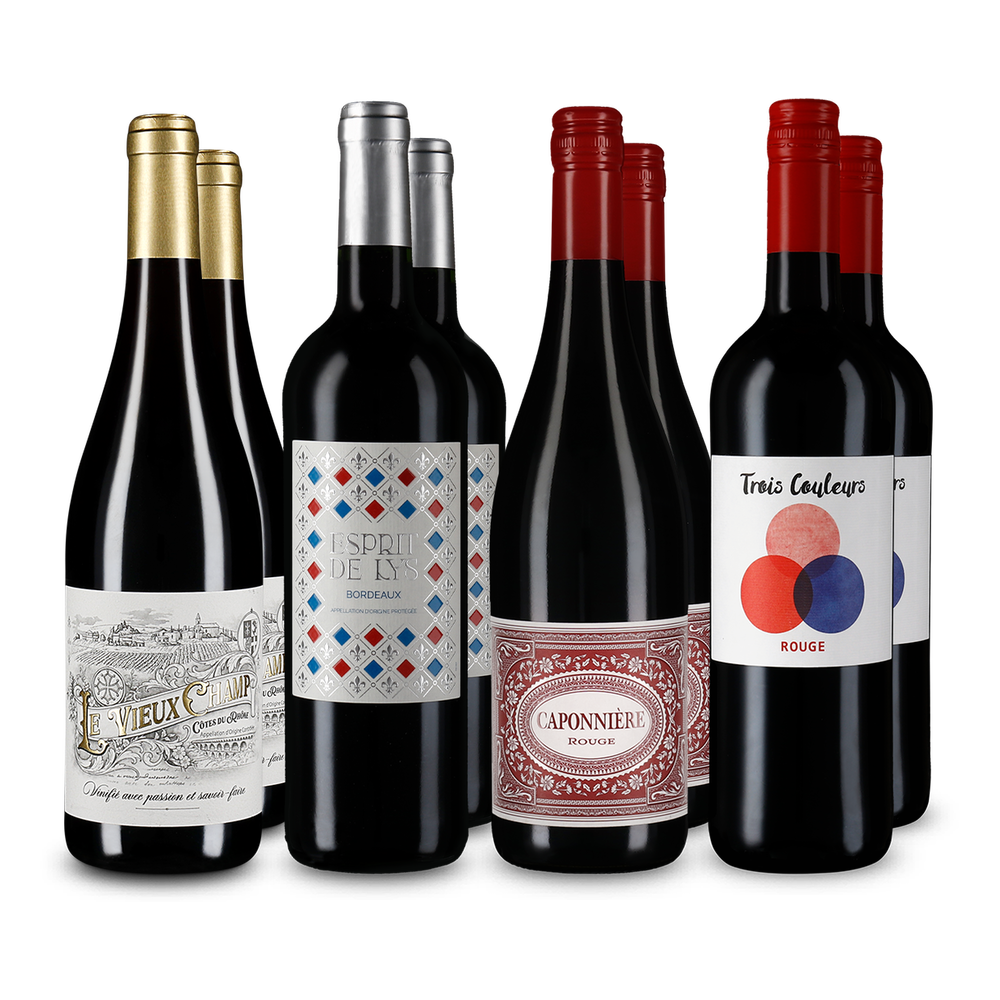 4x2 Diversité des vins rouges de France à prix avantageux