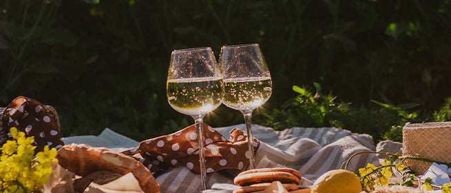 Bienvenue chez Vinroyal. Deux verres de vin blanc sont posés sur une nappe de pique-nique à l'extérieur.